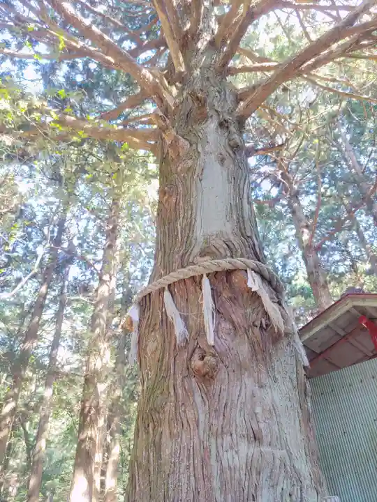 竹駒神社(岩手県)