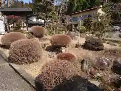 観音寺の庭園