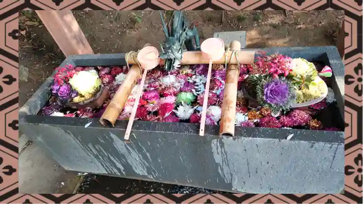 下野 星宮神社(栃木県)