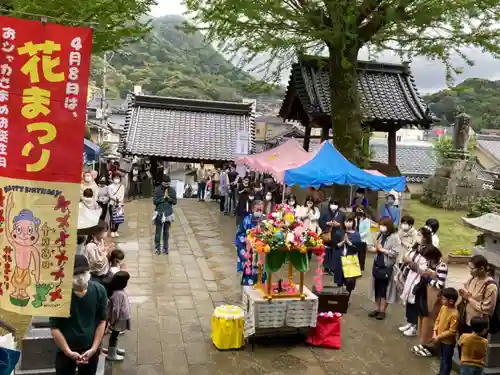 教宗寺の建物その他