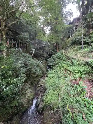 仙龍寺(愛媛県)