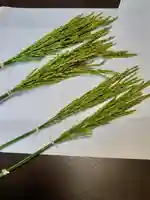 伏木香取神社のその他建物