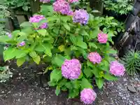 日枝神社(静岡県)