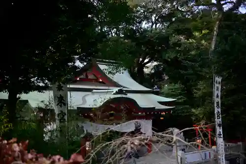 來宮神社(静岡県)