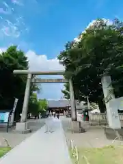 浅草神社の鳥居