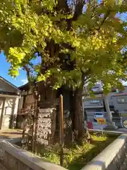 飛木稲荷神社の自然