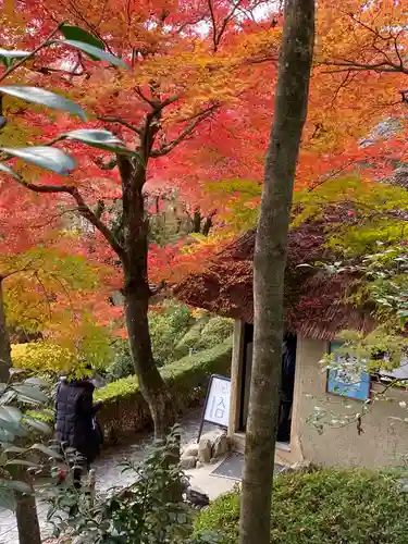 華厳寺（鈴虫寺）(京都府)