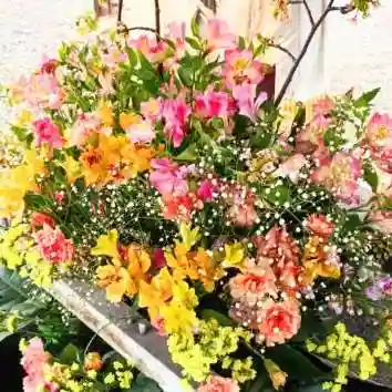 彌彦神社 (伊夜日子神社)の手水舎