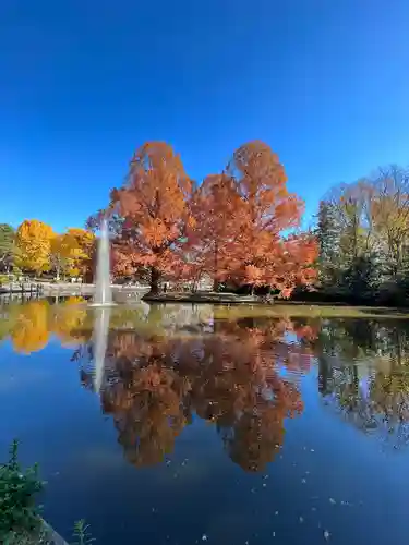 武蔵一宮氷川神社(埼玉県)