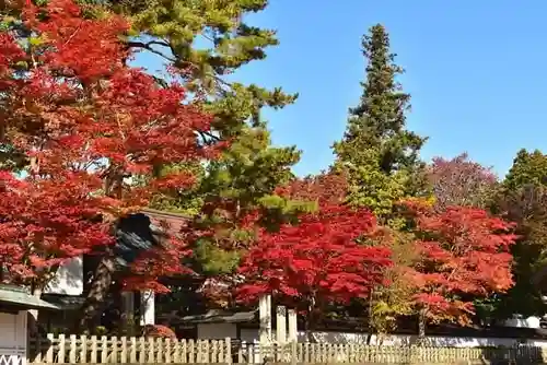 高野山金剛峯寺(和歌山県)