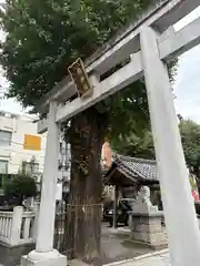 柏神社(千葉県)