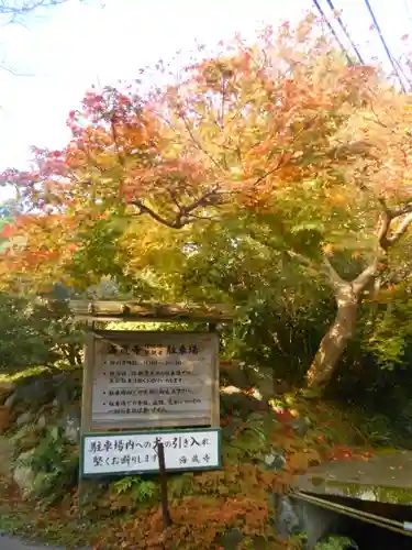 海蔵寺の景色