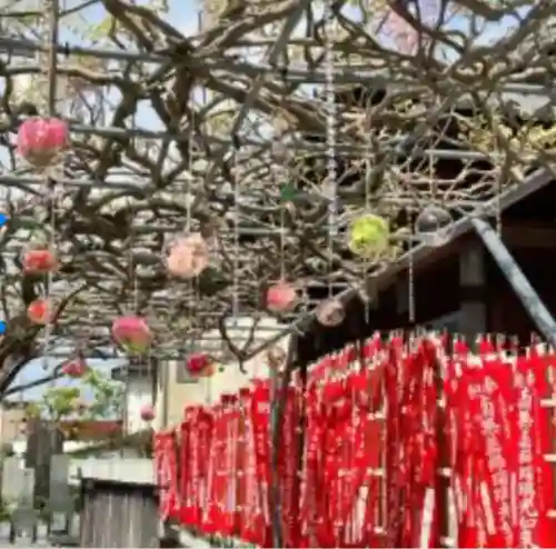 龍谷寺(静岡県)