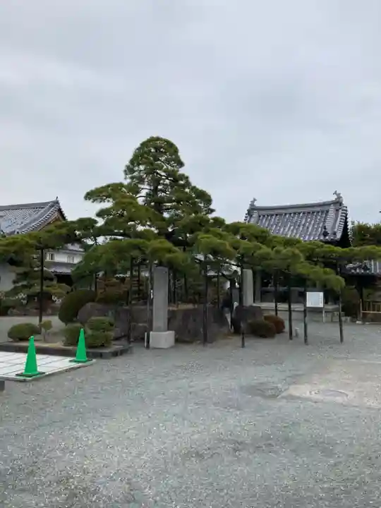 花岳寺の自然