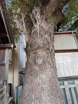 菰江村社(大阪府)