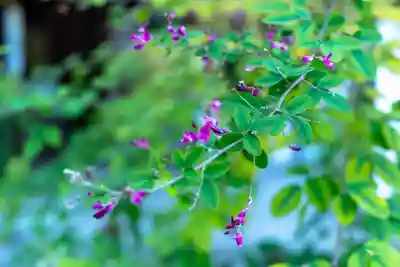 梨木神社(京都府)