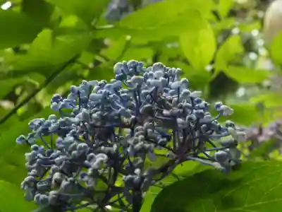 浄智寺(神奈川県)