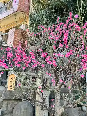 小野照崎神社(東京都)