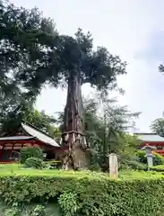 香取神宮(千葉県)