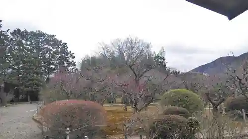 隨心院（随心院）の自然