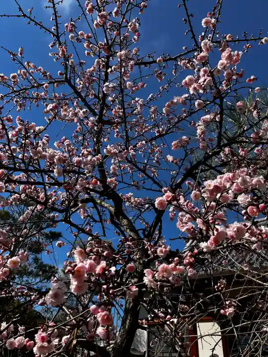 松本山 地福禅寺(滋賀県)