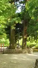 大田原神社の建物その他