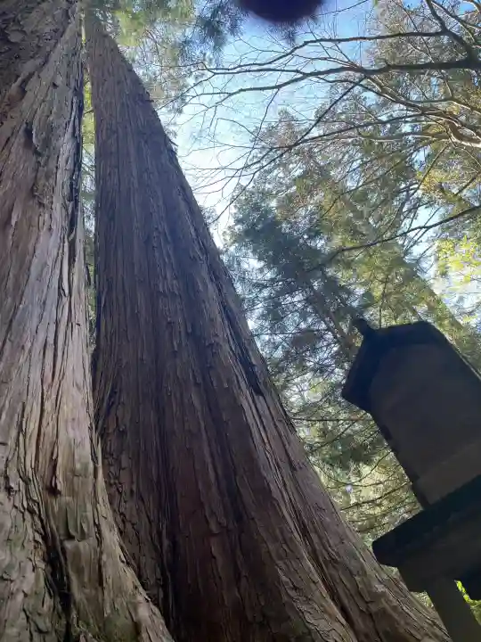 三峯神社(埼玉県)