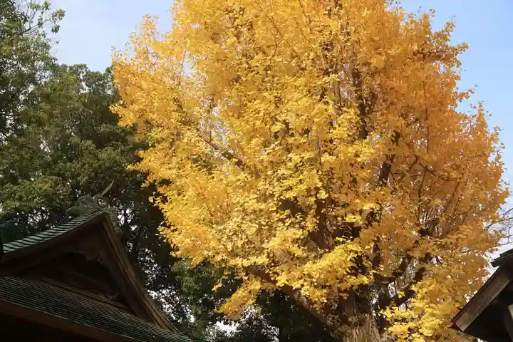 阿邪訶根神社の自然