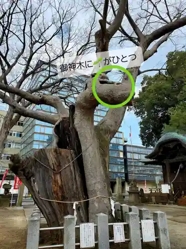 阿邪訶根神社の自然