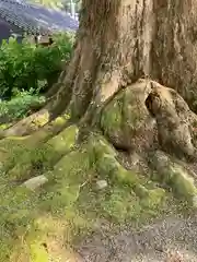 石部神社(兵庫県)