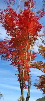 醍醐寺(京都府)