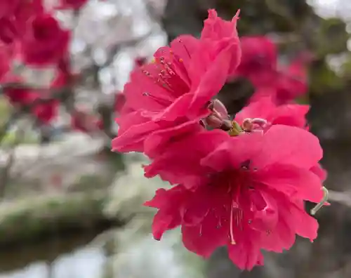 東円寺(山梨県)