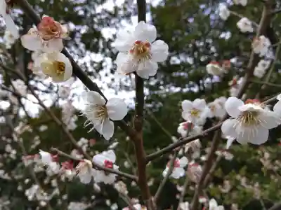 藤島神社(贈正一位新田義貞公之大宮)(福井県)
