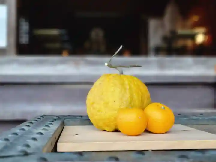 伏木香取神社(茨城県)