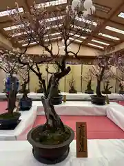 菅原天満宮（菅原神社）の自然