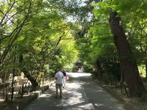 宇治上神社(京都府)