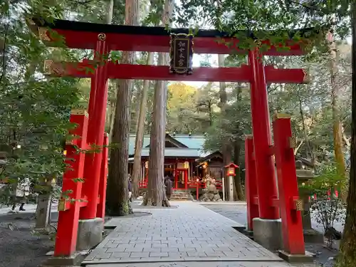 椿大神社の鳥居