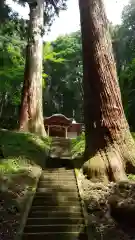 吉田八幡神社の自然