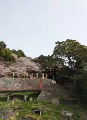宝厳寺(滋賀県)