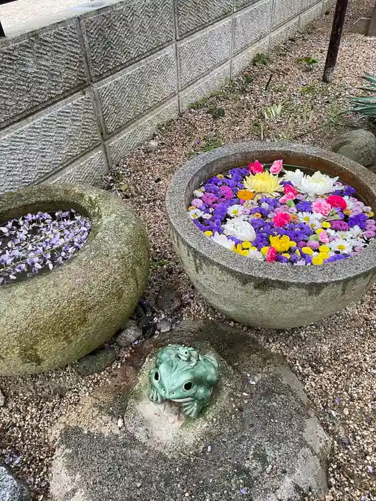 太巌寺(ふじの寺)(三重県)