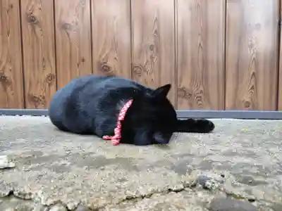 高司神社〜むすびの神の鎮まる社〜(福島県)