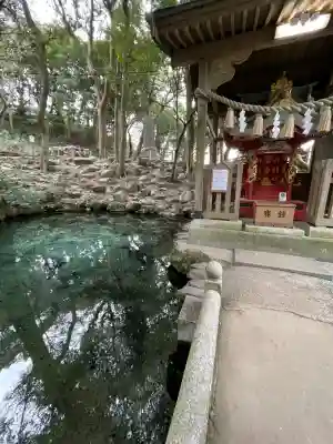 泉神社の{uncategorized: "未分類", other: "その他", undefined: "問題あり", building: "その他建物", grave: "お墓", sacred_gate: "鳥居", guardian: "狛犬", statue: "像", buddha: "仏像", history: "歴史", nature: "自然", garden: "庭園", animal: "動物", pagoda: "塔", temizu: "手水舎", mountain_gate: "山門・神門", sanctuary: "本殿・本堂", subordinate: "末社・摂社", art: "芸術", scenery: "景色", jizo: "地蔵", ema: "絵馬", goshuin: "御朱印", omikuji: "おみくじ", items: "授与品その他", amulet: "お守り", goshuincho: "御朱印帳", eats: "食事", festival: "お祭り", votive_dance: "神楽", shichigosan: "七五三参", wedding: "結婚式", experience: "体験その他", initially: "初詣", around: "周辺", anti_infection: "感染症対策"}