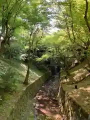 東福禅寺（東福寺）の自然