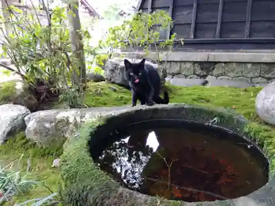 清泰寺(岐阜県)