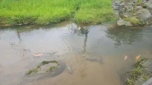 玉作湯神社(島根県)