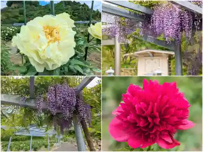 金蛇水神社(宮城県)