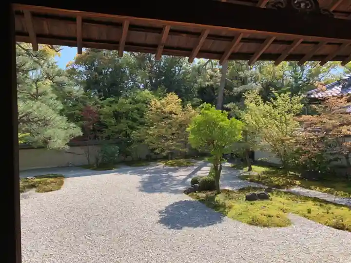 廬山寺(廬山天台講寺)(京都府)