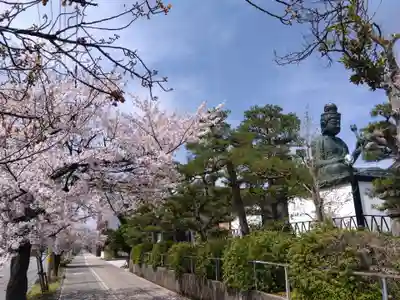 光照寺(福井県)