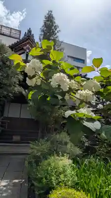 宝蔵寺(京都府)