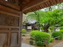 大円寺の庭園